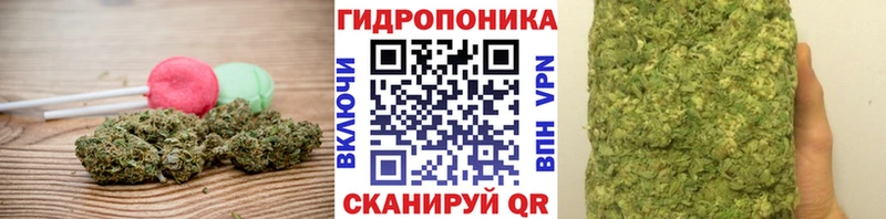 где можно купить   Белая Калитва  hydra ССЫЛКА  Canna-Cookies марихуана 