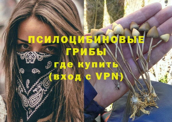 ALPHA-PVP Алексеевка