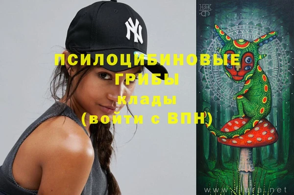 прущие грибы Абдулино