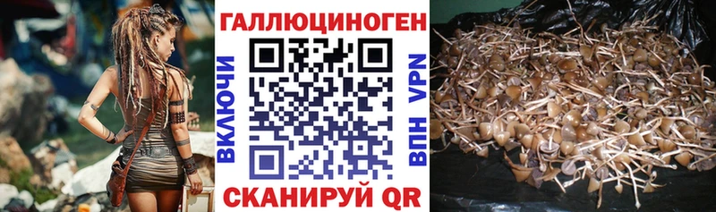 сайты даркнета телеграм  Белая Калитва  Псилоцибиновые грибы Magic Shrooms  blacksprut сайт 