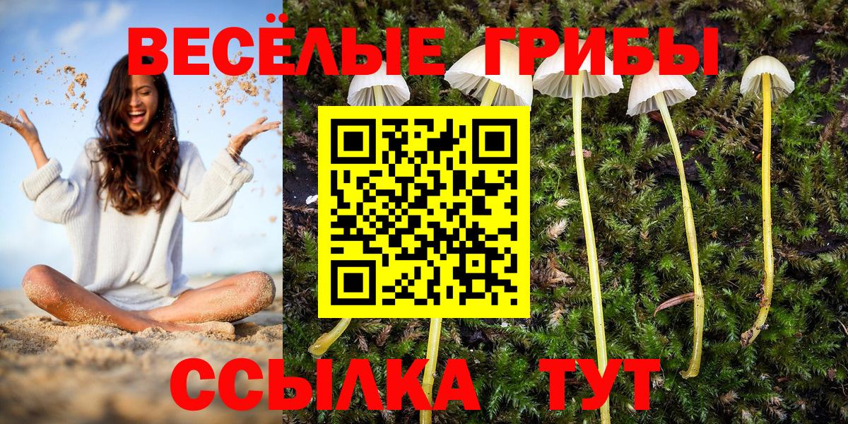 Галлюциногенные грибы Cubensis Белая Калитва